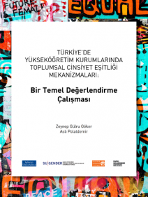 TÜRKİYE’DE YÜKSEKÖĞRETİM KURUMLARINDA TOPLUMSAL CİNSİYET EŞİTLİĞİ MEKANİZMALARI