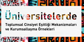 Üniversitelerde Toplumsal Cinsiyet Eşitliği Mekanizmaları ve Kurumsallaşma Örnekleri